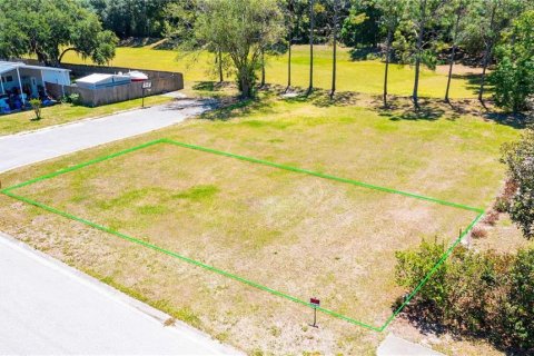 Land in Wesley Chapel, Florida № 2165719 - photo 2