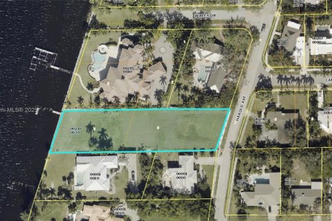 Land in Fort Myers, Florida № 1863506 - photo 1