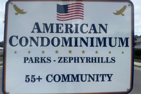 Land in Zephyrhills, Florida № 2165951 - photo 7