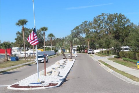 Land in Zephyrhills, Florida № 2165951 - photo 8
