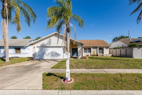 Villa ou maison à New Port Richey, Floride 3 chambres, 141.95 m2 № 2419040