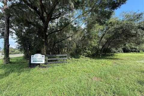 Terreno en venta en Dunnellon, Florida № 1856427 - foto 7