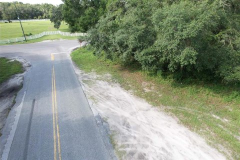 Terreno en venta en Dunnellon, Florida № 1856427 - foto 5