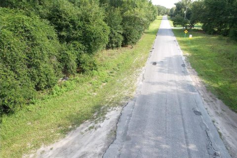 Terreno en venta en Dunnellon, Florida № 1856427 - foto 3