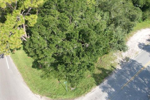 Terreno en venta en Dunnellon, Florida № 1856427 - foto 1
