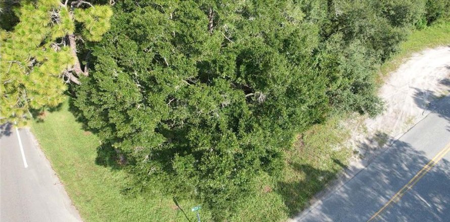 Land in Dunnellon, Florida № 1856427
