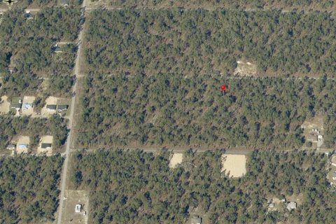Land in Dunnellon, Florida № 2159299 - photo 6
