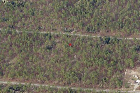 Land in Dunnellon, Florida № 2159299 - photo 5