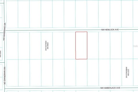 Land in Dunnellon, Florida № 2159299