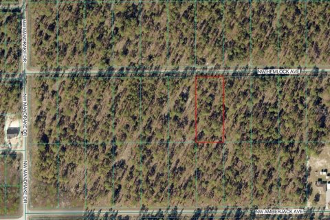 Land in Dunnellon, Florida № 2159299 - photo 2