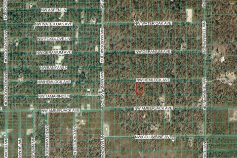 Land in Dunnellon, Florida № 2159299 - photo 4