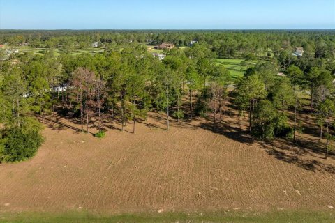 Terreno en venta en Eustis, Florida № 1915808 - foto 10