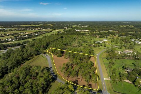 Terreno en venta en Eustis, Florida № 1915808 - foto 6