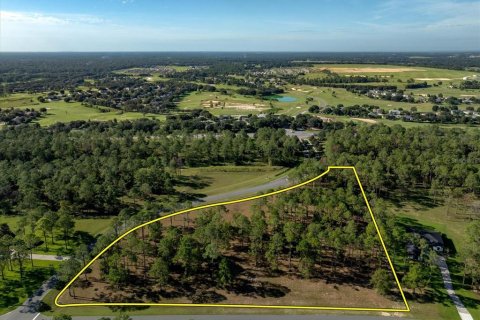 Terreno en venta en Eustis, Florida № 1915808 - foto 4