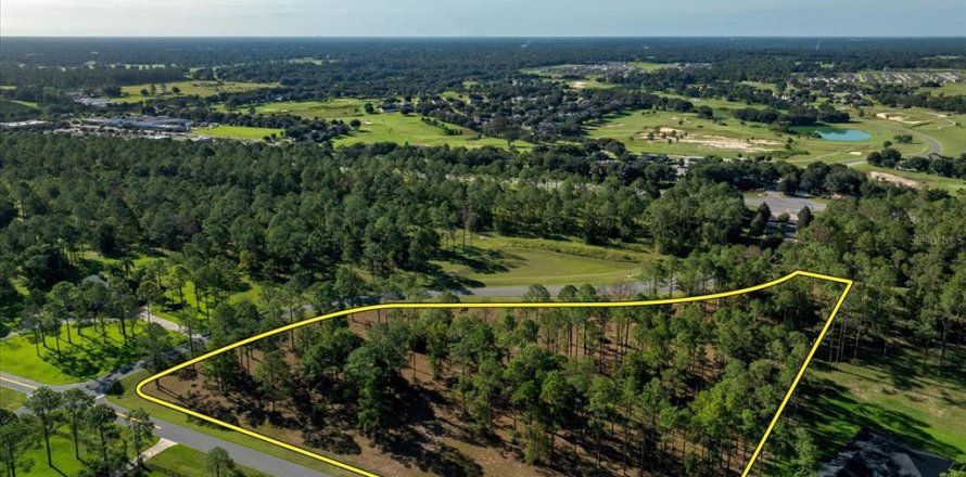 Terrain à Eustis, Floride № 1915808