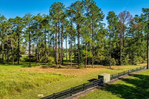Terreno en venta en Eustis, Florida № 1915808 - foto 9