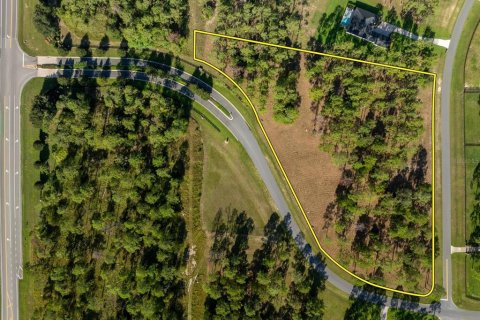 Terreno en venta en Eustis, Florida № 1915808 - foto 8