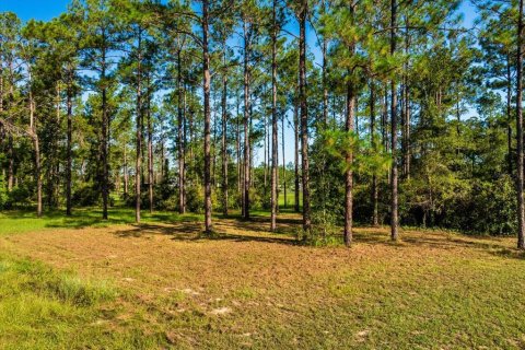Terreno en venta en Eustis, Florida № 1915808 - foto 11