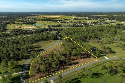 Terreno en venta en Eustis, Florida № 1915808 - foto 5