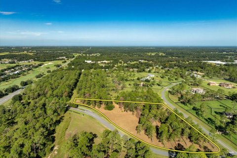 Terreno en venta en Eustis, Florida № 1915808 - foto 7