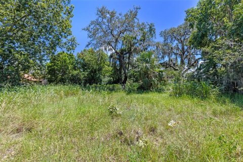 Land in Montverde, Florida № 1900869 - photo 7