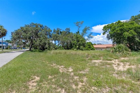 Land in Montverde, Florida № 1900869 - photo 2