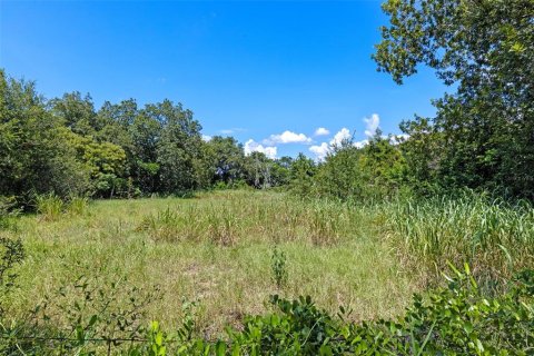 Land in Montverde, Florida № 1900869 - photo 4