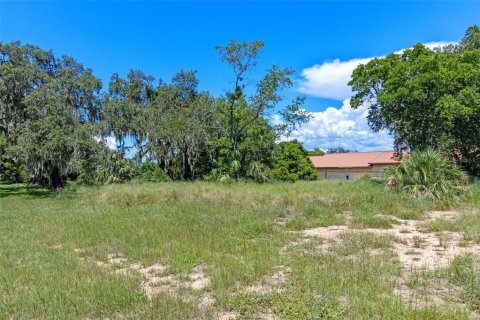 Land in Montverde, Florida № 1900869 - photo 3