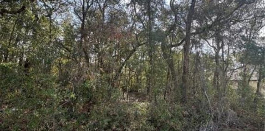 Terrain à Ocala, Floride № 2213202