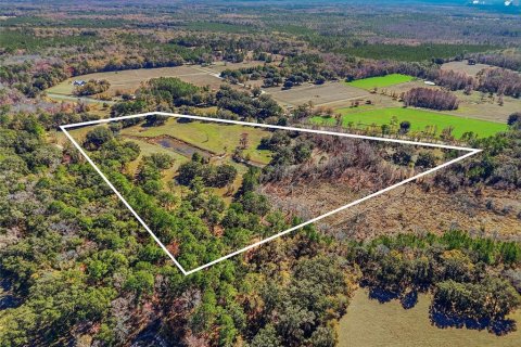 Land in Alachua, Florida № 2157834 - photo 9