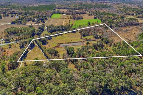 Land in Alachua, Florida № 2157834 - photo 7
