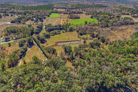 Land in Alachua, Florida № 2157834 - photo 8