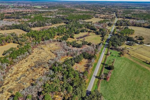 Land in Alachua, Florida № 2157834 - photo 14