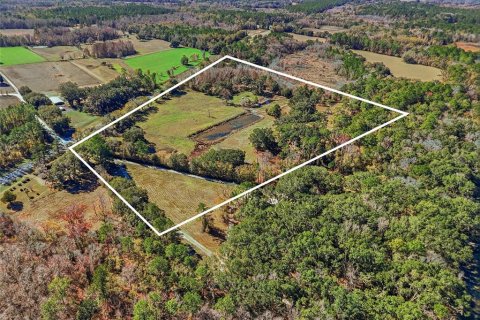 Land in Alachua, Florida № 2157834 - photo 5