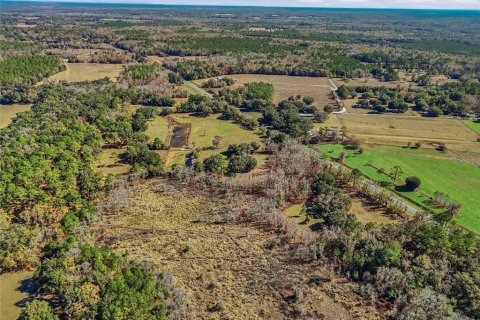 Land in Alachua, Florida № 2157834 - photo 12