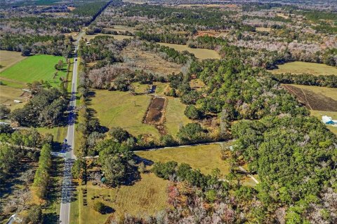 Land in Alachua, Florida № 2157834 - photo 3