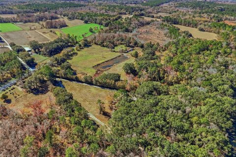 Land in Alachua, Florida № 2157834 - photo 6