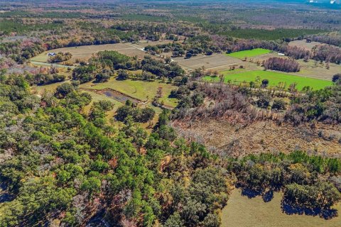 Land in Alachua, Florida № 2157834 - photo 10