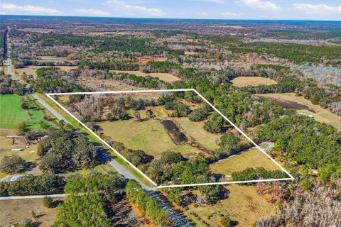 Land in Alachua, Florida № 2157834 - photo 2