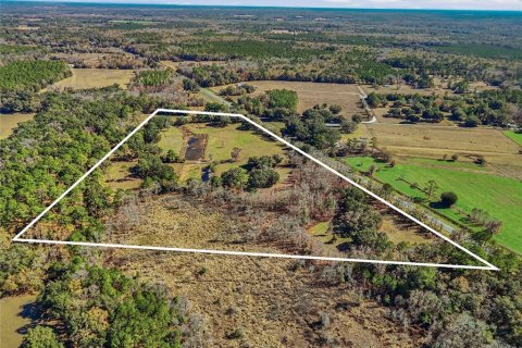 Land in Alachua, Florida № 2157834 - photo 11