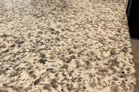 Adosado en venta en Odessa, Florida, 3 dormitorios, 149.76 m2 № 2223326 - foto 11