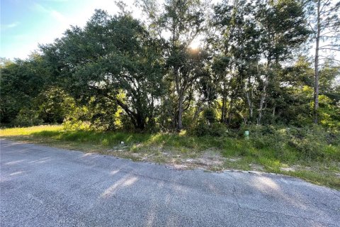 Land in Poinciana, Florida № 2162961 - photo 3