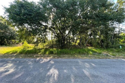 Land in Poinciana, Florida № 2162961