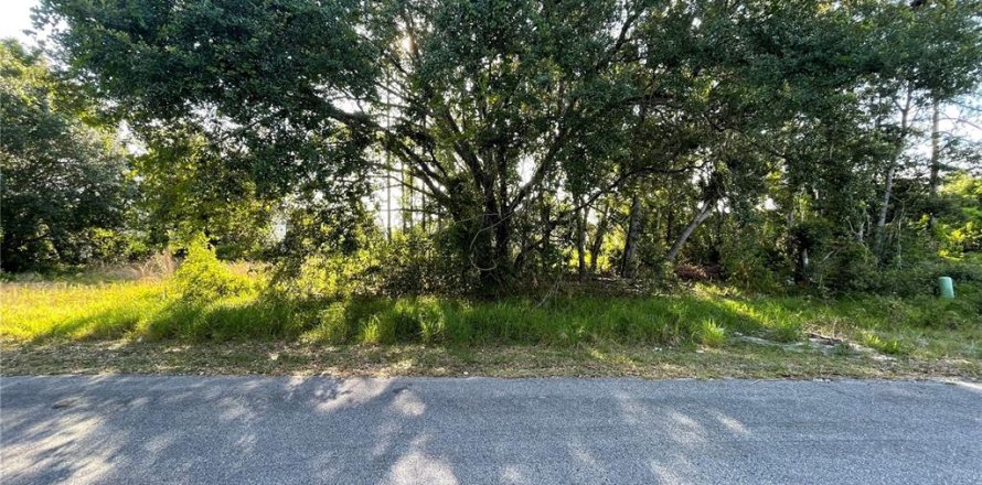 Land in Poinciana, Florida № 2162961