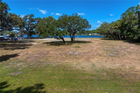 Terrain à vendre à Lutz, Floride № 1670151 - photo 5