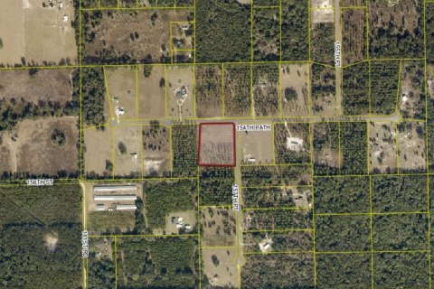 Land in Live Oak, Florida № 775122 - photo 1