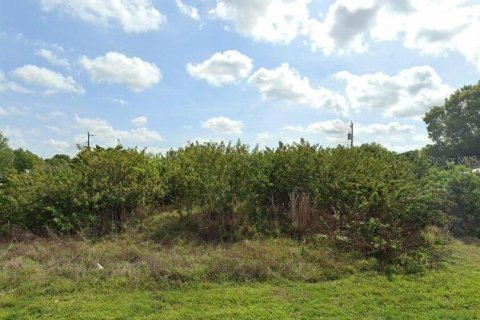 Land in Punta Gorda, Florida № 1837163 - photo 1