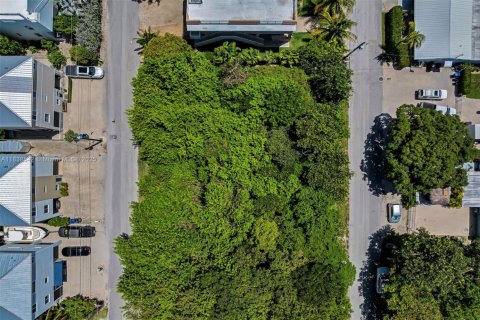 Land in Key Largo, Florida № 1825994 - photo 19