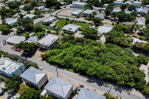 Land in Key Largo, Florida № 1825994 - photo 15