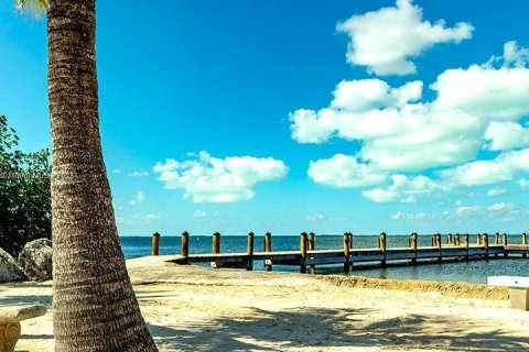 Land in Key Largo, Florida № 1825994 - photo 11